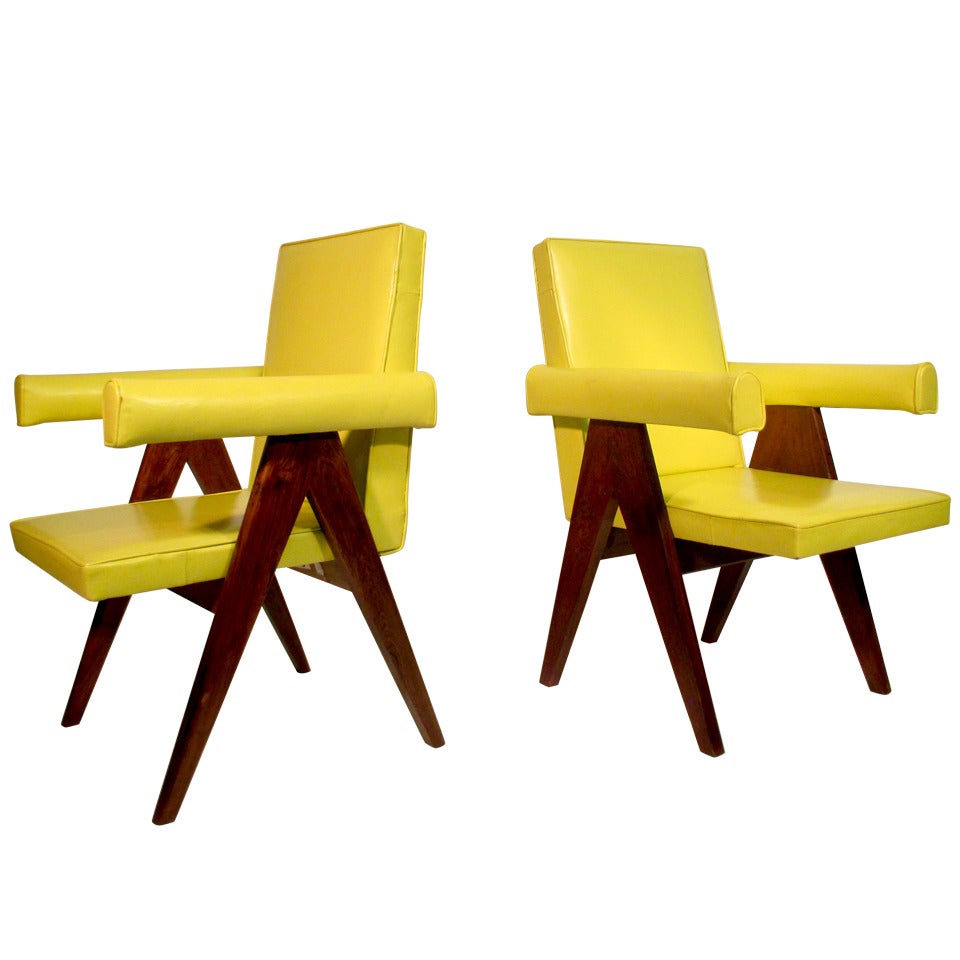 Pair of Committee Chairs by Pierre Jeanneret