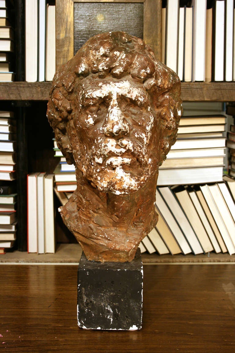 French Plaster Man Bust at 1stdibs