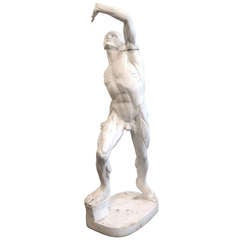 French Plaster Anatomical Figure