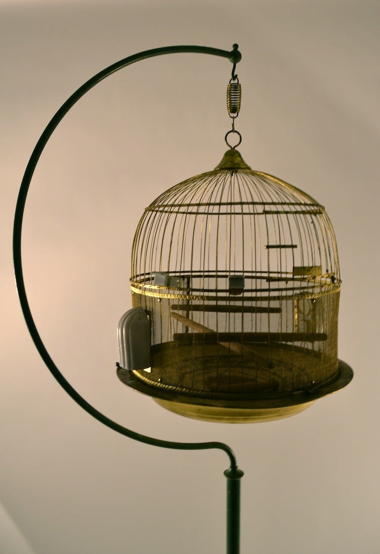 Brass bird cage suspended from iron stand ( stand in green paint ) Charming Antique item in great condition.