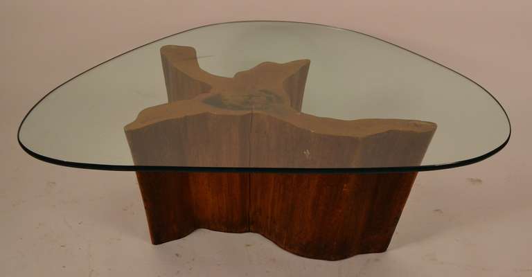 Wood Stylish Root Base Glass Top Table by Michael Taylor