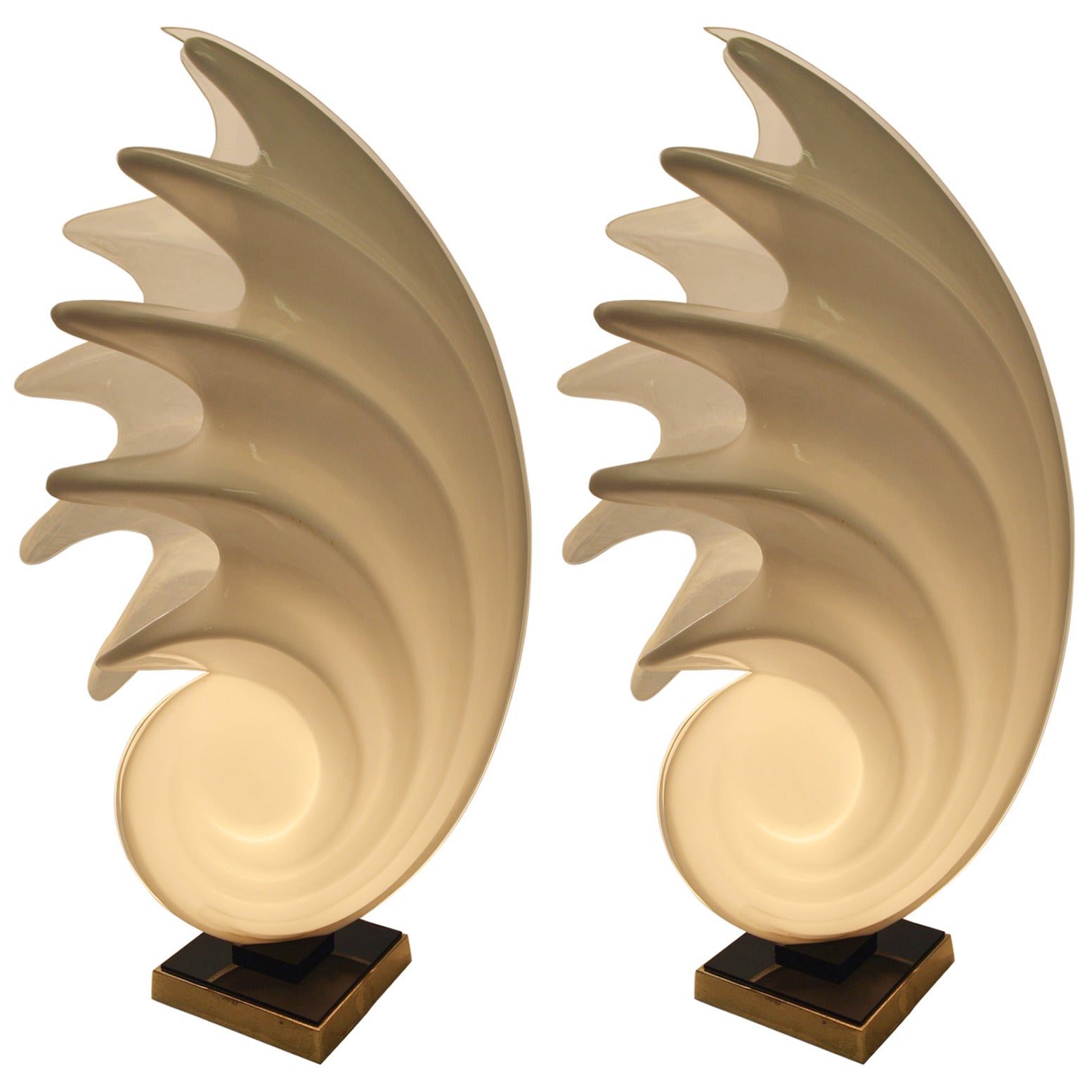 Pair of Shell Lamps by Rougier
