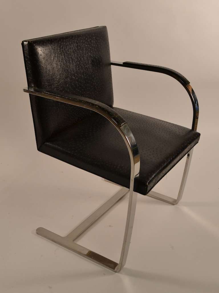 Wonderful set of Mies Flat Bar brno chairs, circa 1950-1960, attributed to Knoll. Great quality, interesting black over original yellow faux ostrich upholstery. I suspect someone had these colored over in black at some point, as the original yellow