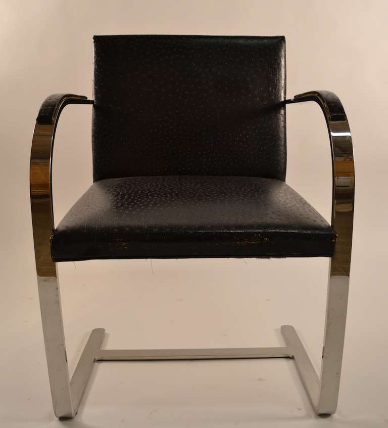 American Set of Six Brno Chairs designed by Ludwig Mies Van Der Rohe