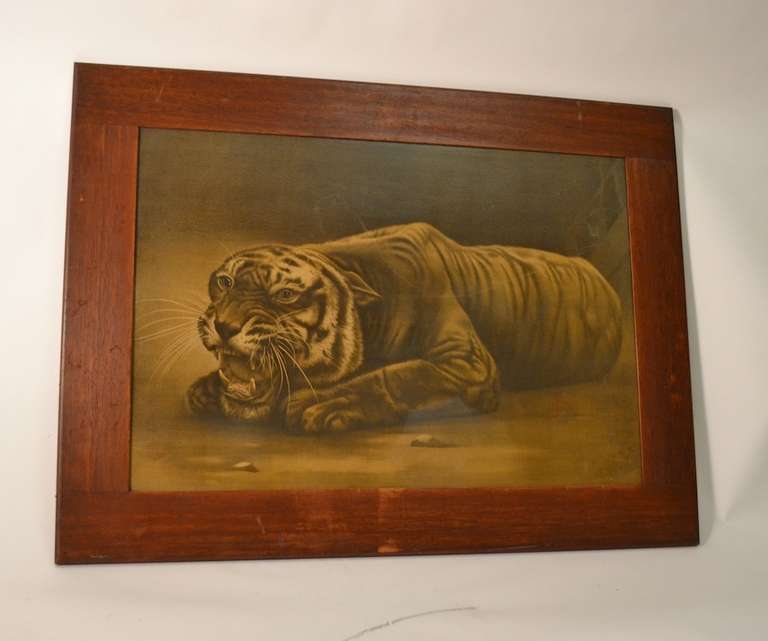 framed tiger pictures