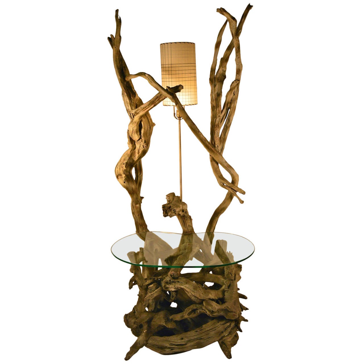 Large Driftwood Lamp Table or Floor Lamp For Sale at 1stdibs