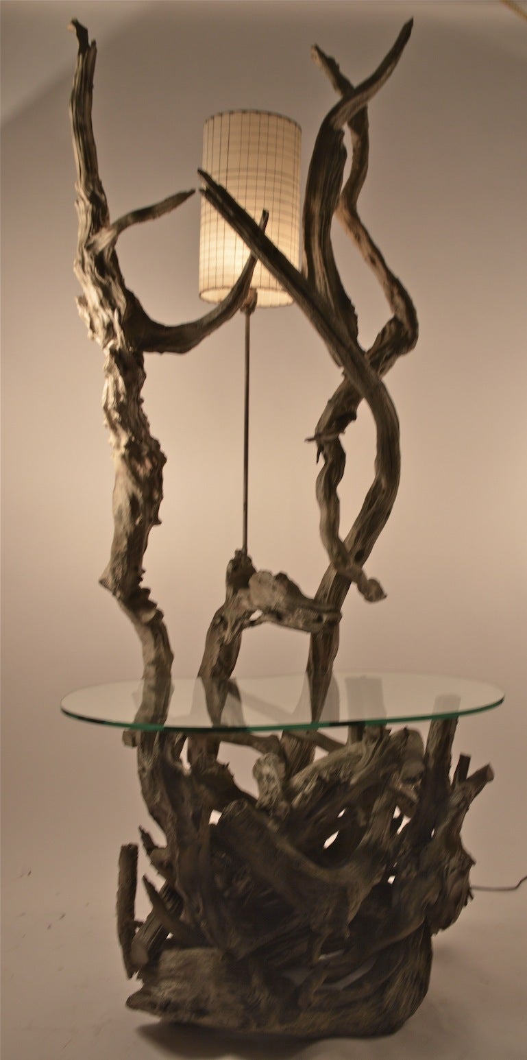Large and impressive floor lamp, end table. Organic Modern form Driftwood body with kidney shaped plate glass  surface.  Table top height 21.5
