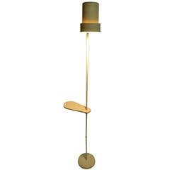 Unusual Possibly Unique Adjustable Floor Lamp
