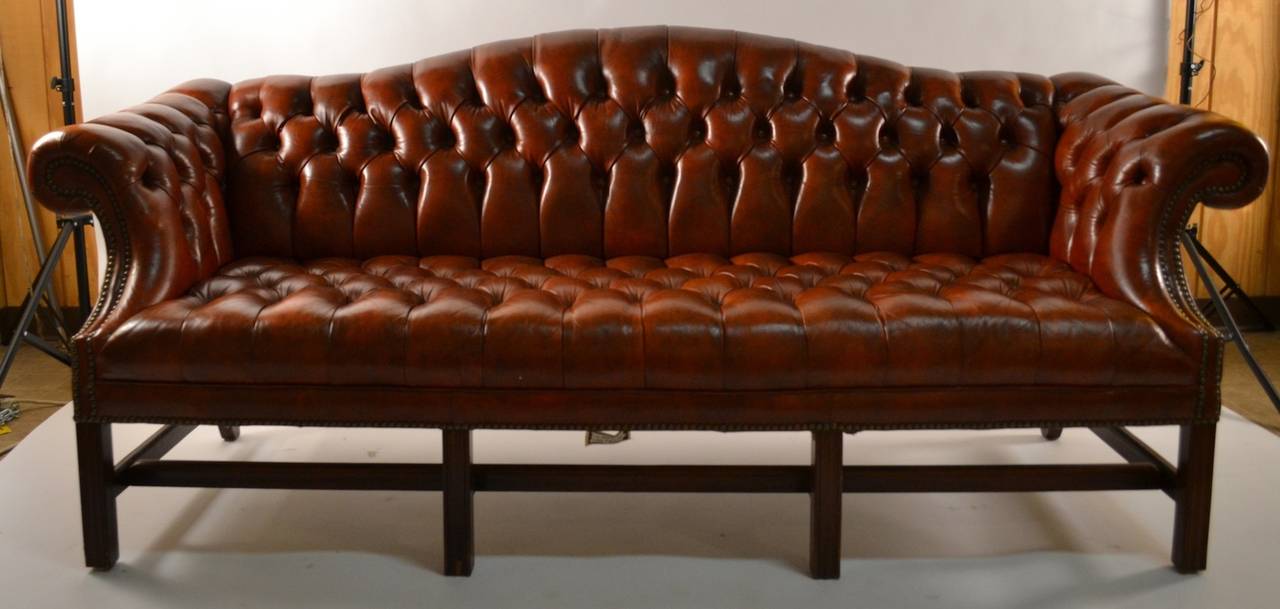 camel back leather sofa