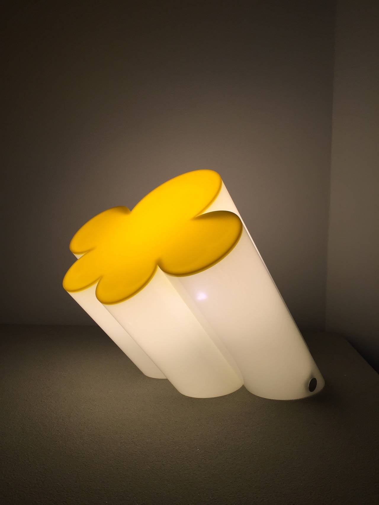 Modern Iconic Lamp 