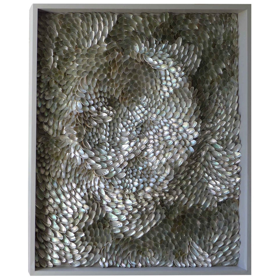 Silver Eddy BKW 04, Original Art Work in Abalone Shell