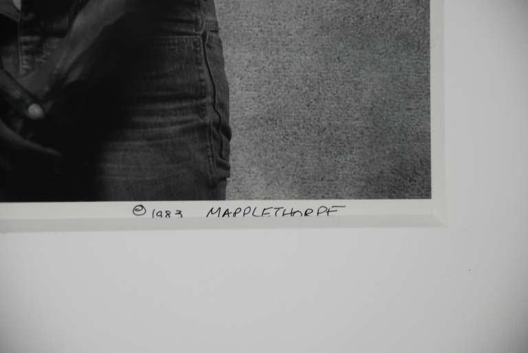 robert mapplethorpe the black book