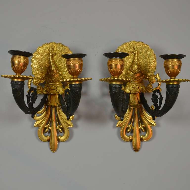 Charming Very Small Pair of Double Light Sconces with Peacocks