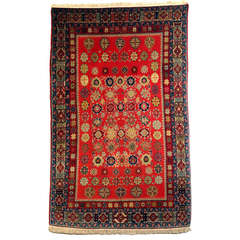 Shirwan Rug 6