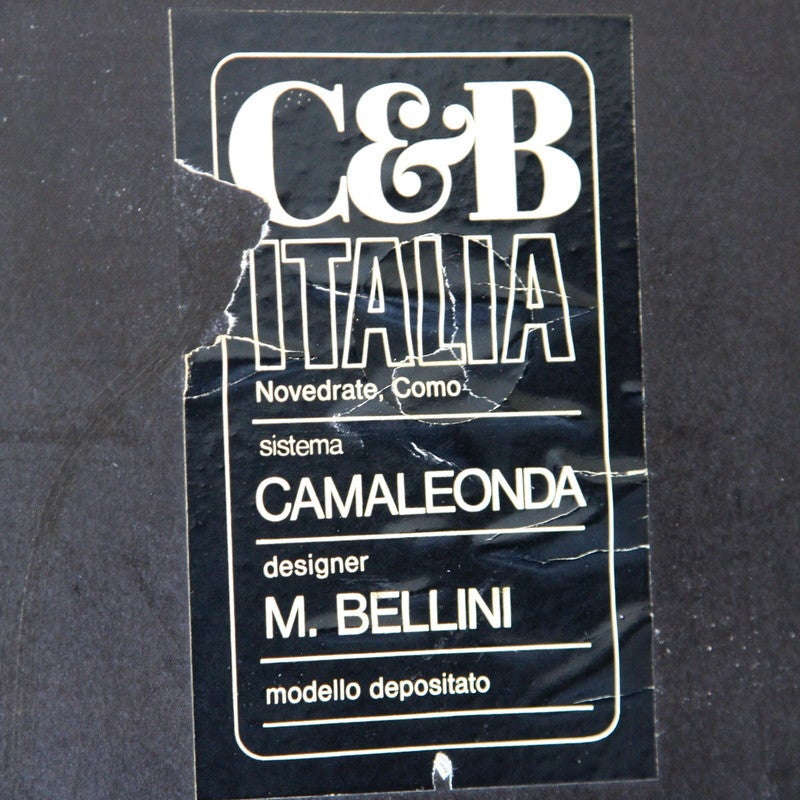 Pair of Mario Bellini 