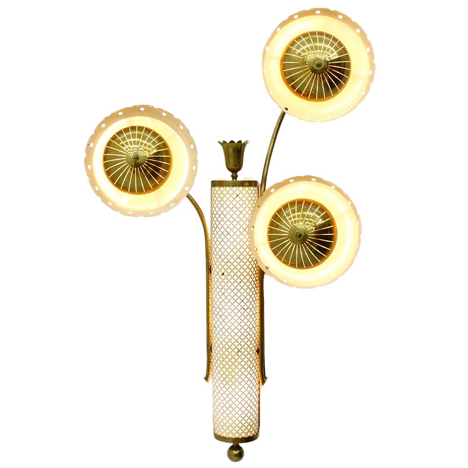 Large Flower Wall Sconce, France Circa 1950`s For Sale