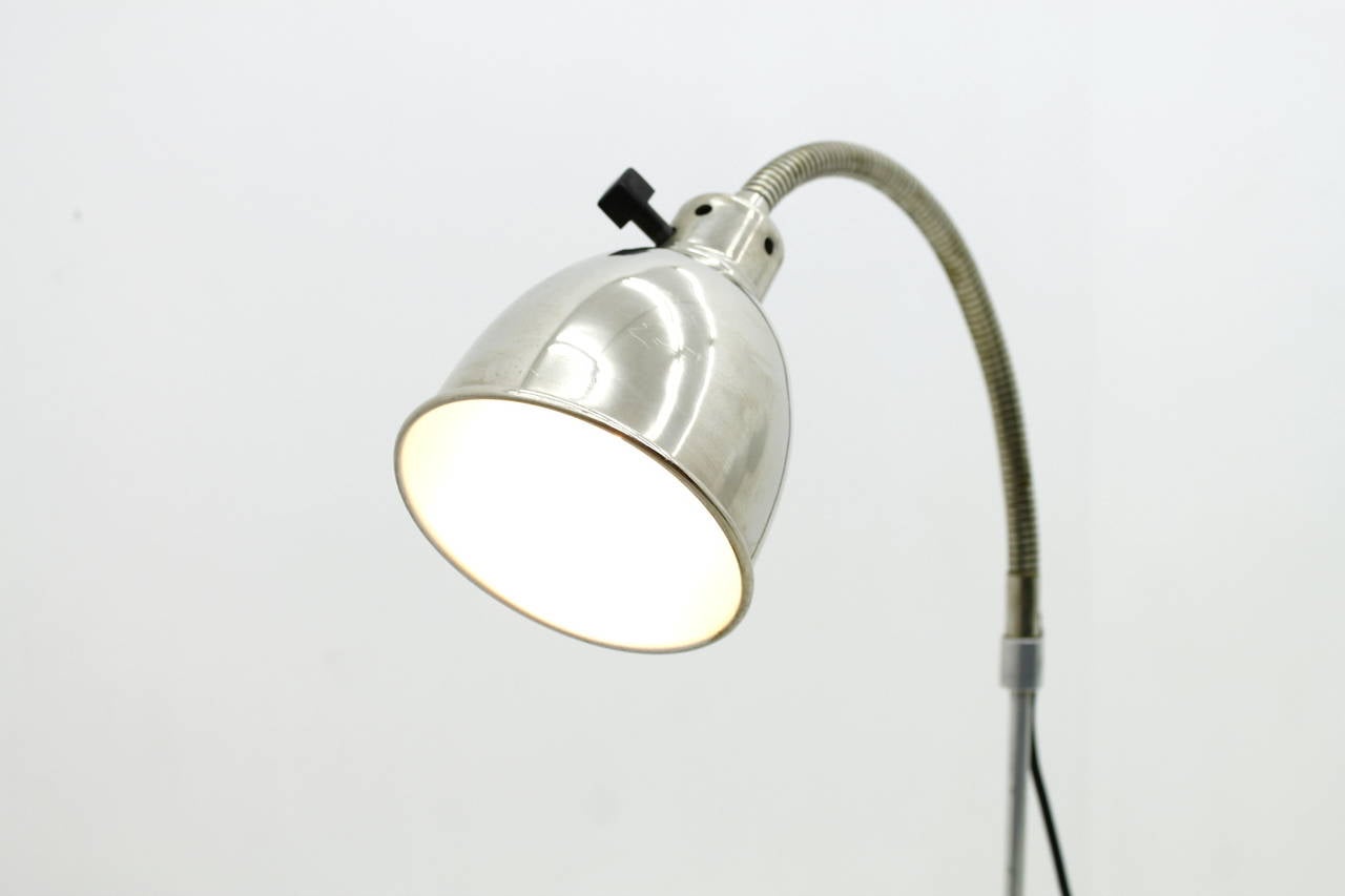 Metal Christian Dell Floor Lamp with Gooseneck 1930s For Sale
