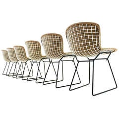 Set of Six Harry Bertoia Dining Chairs, Knoll International