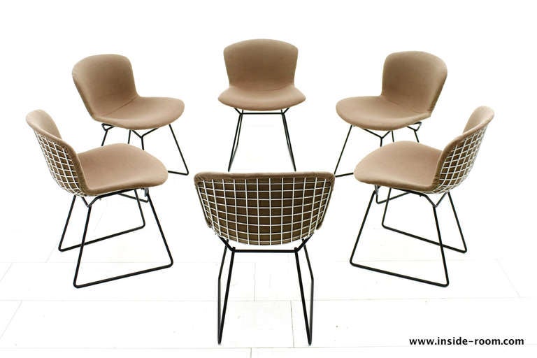Set of Six Harry Bertoia Dining Chairs, Knoll International In Good Condition In Frankfurt / Dreieich, DE