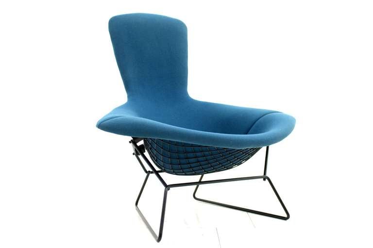 Original Harry Bertoia Bird Lounge Chair, Knoll International. Fil métallique noir et couvercle bleu.
H 102 cm, L 100 cm, P 90 cm, SH 37 cm.
Excellent état !