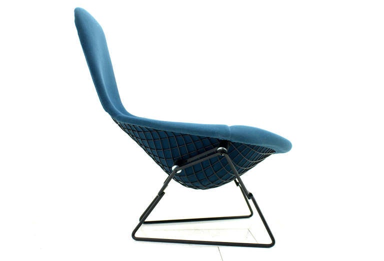 Mid-Century Modern Chaise oiseau Harry Bertoia, Knoll International