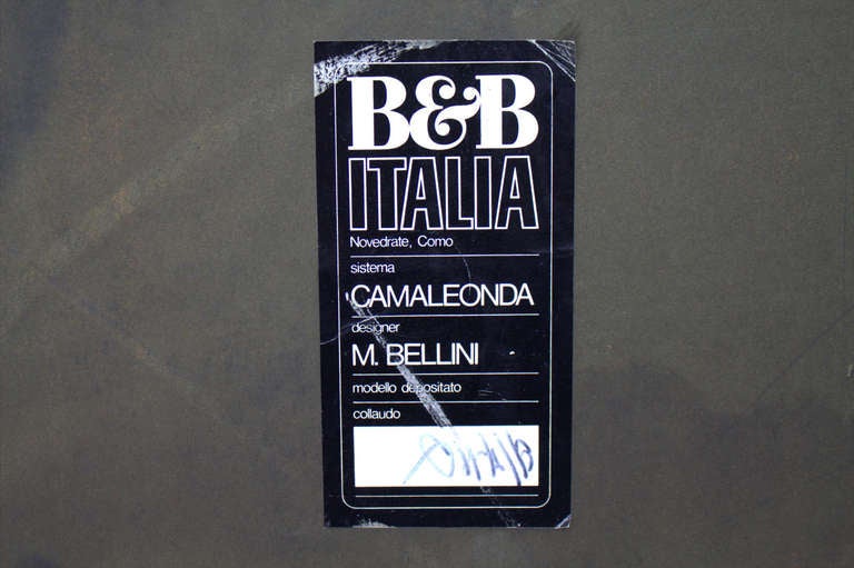 Very Large Camaleonda Sofa Group by Mario Bellini 1