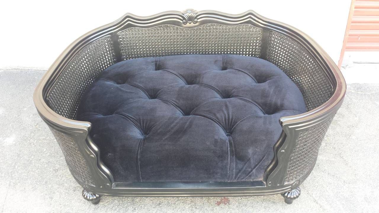 Louis XV French XV Style Cane Pet Bed