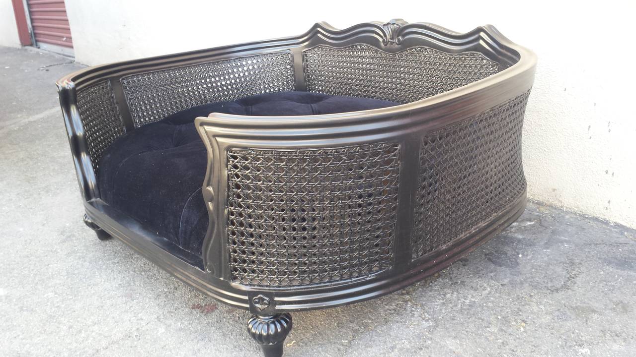 Contemporary French XV Style Cane Pet Bed