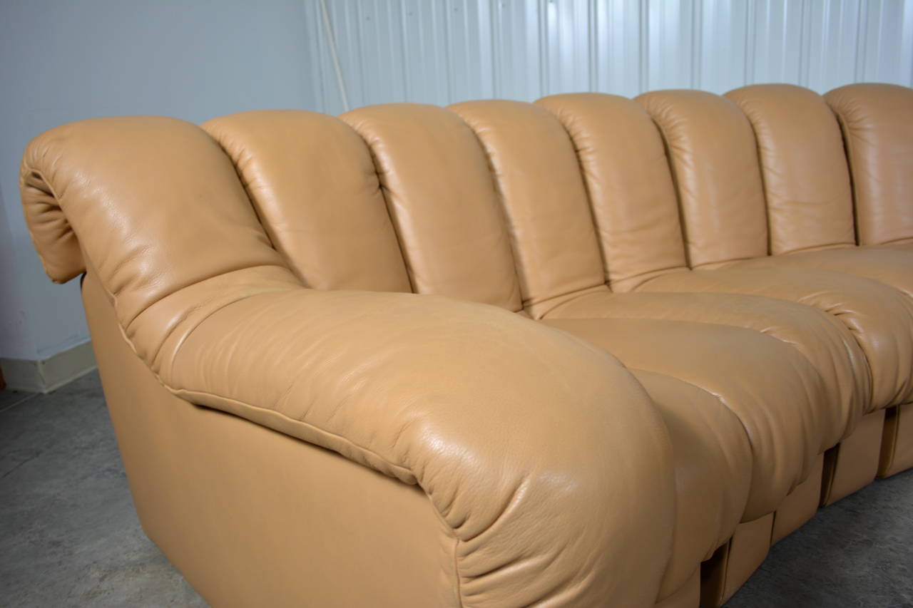 Late 20th Century De Sede DS600 Non-Stop Modular Sectional Sofa in Tan Leather For Sale
