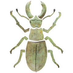 Bronze Stag Beetle