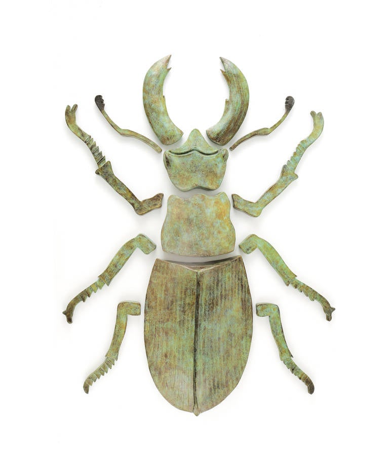 Bronze Stag Beetle