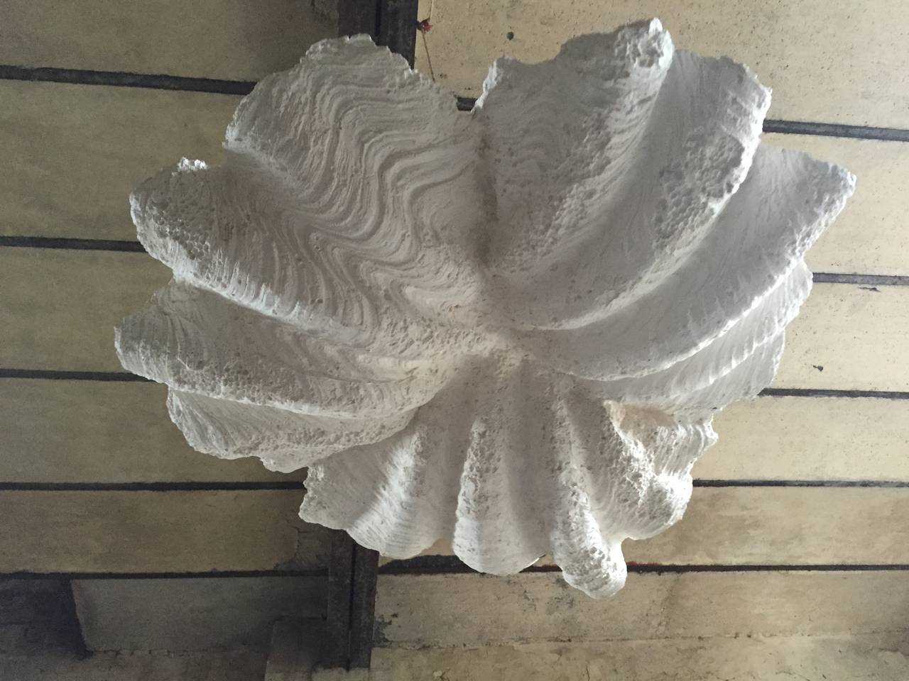 An impressive plaster shell chandelier, circa 1980, made for a project in a chic Paris hotel, new electricity.

Dimension: 92 x 22 cm / total height = 100 cm.