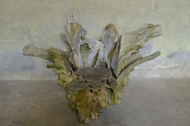 a superb root armchair
Circa 1980 

Dim = 98 X 120 X 96 cm / Hseat = 40 cm