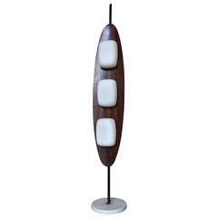 Rare 1960s Reggiani TOTEM Floor Lamp in Rosewood