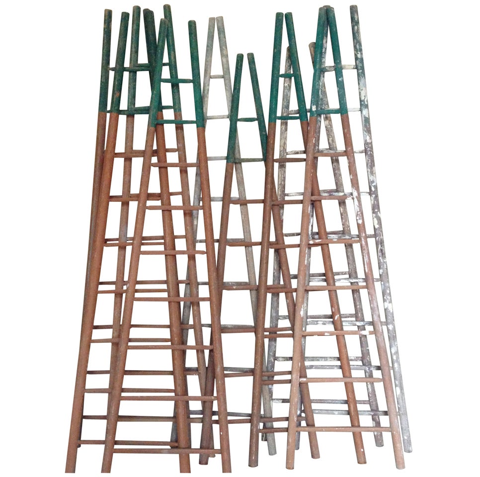 Set of Ten 19th Century Ladders