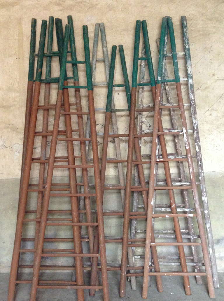 a super set of 10 wood ladder from a french painter from the end of 19th 

very nice colors and time patina

Dim= H 300 x 80 cm