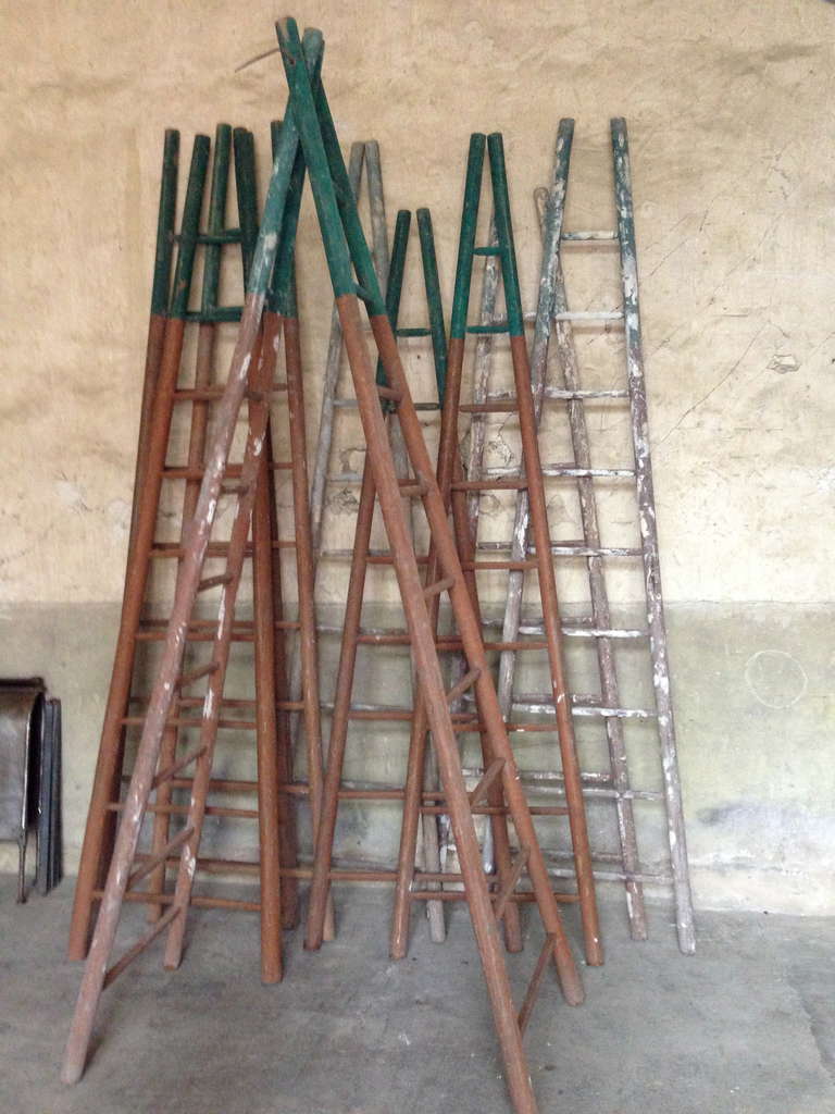 French Set of Ten 19th Century Ladders