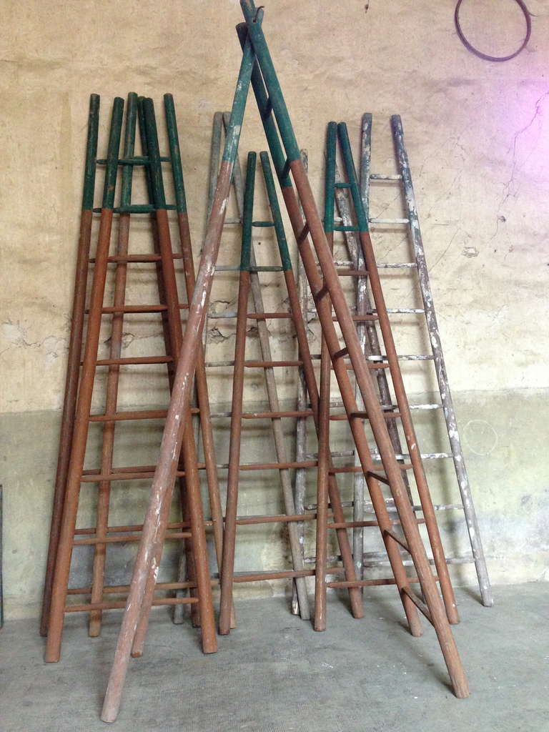 Set of Ten 19th Century Ladders 3