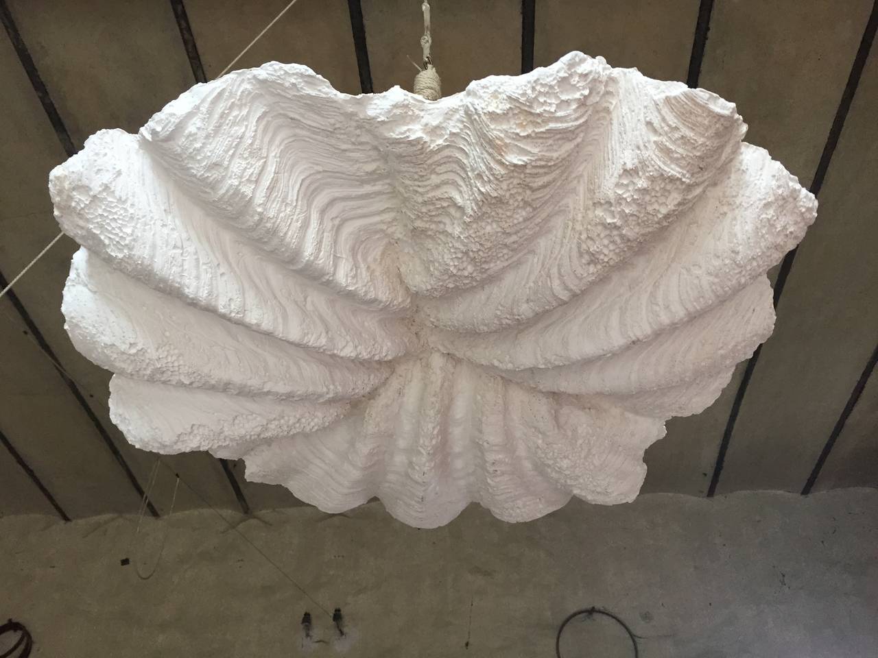 Pair of Plaster Shell Chandeliers 1