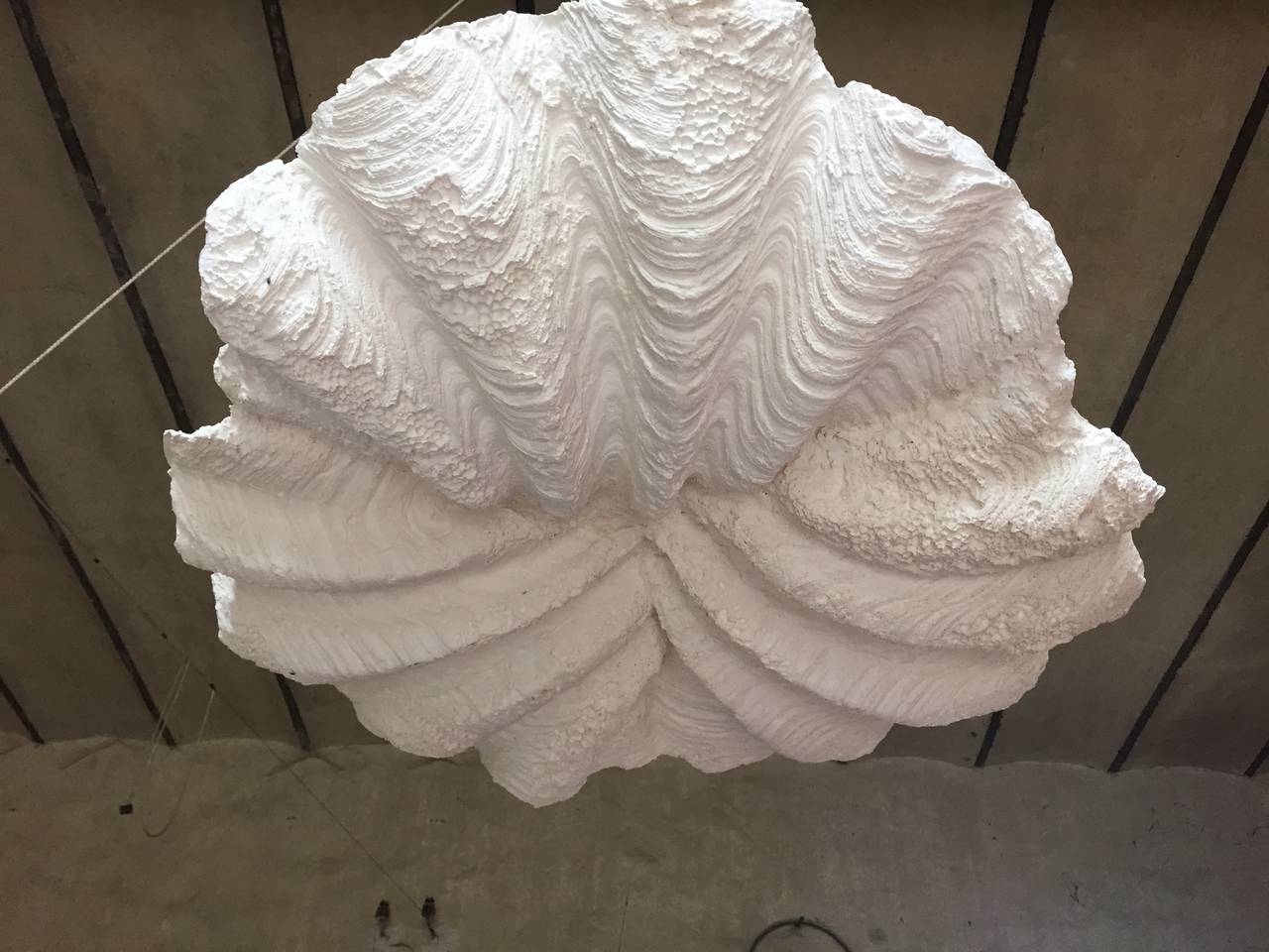 French Pair of Plaster Shell Chandeliers