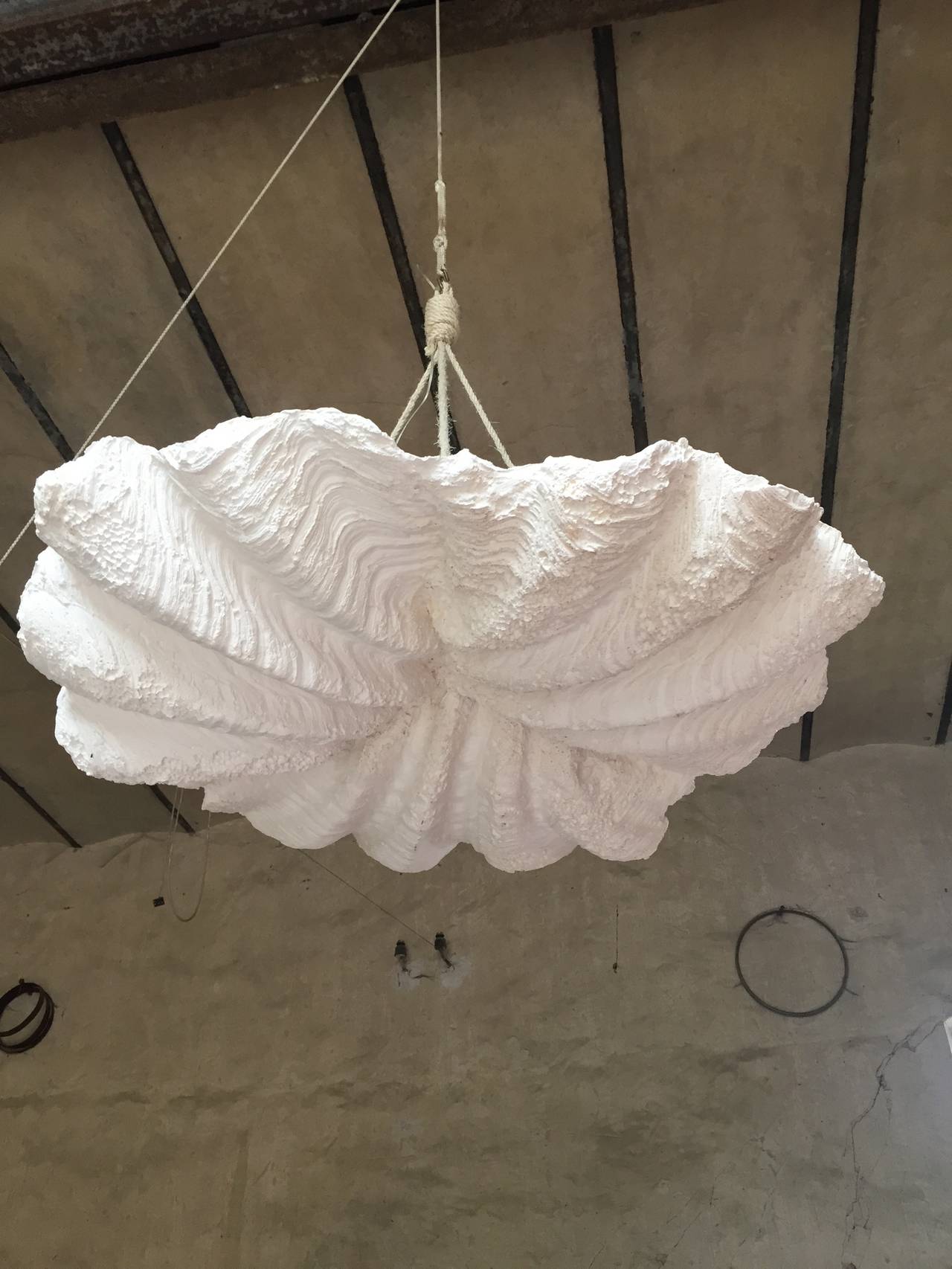 20th Century Pair of Plaster Shell Chandeliers