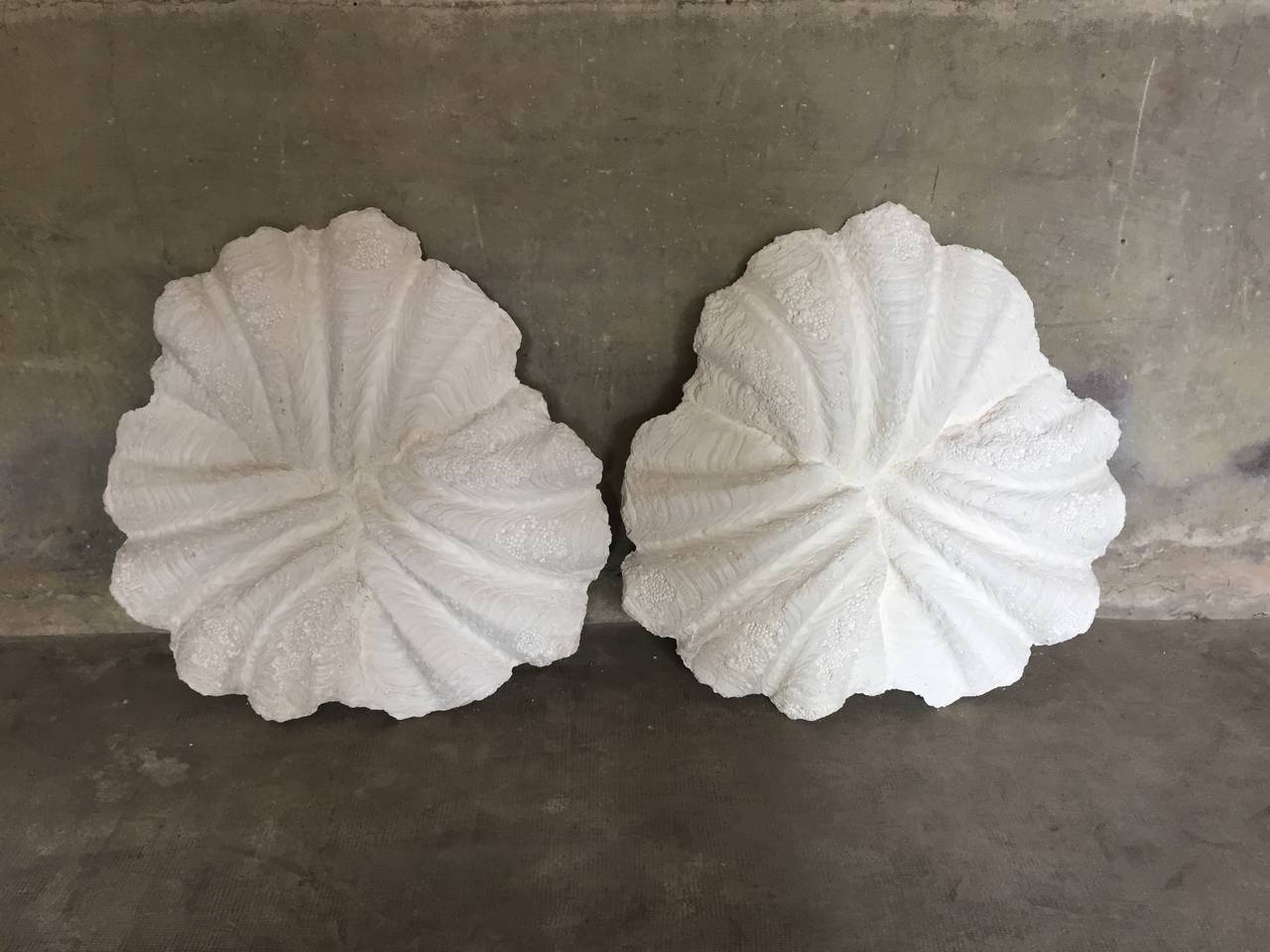 The last pair of plaster shell chandeliers, made for a project hotel in Paris, circa 1980.

Measures: Diameter 95 cm/H 100 cm.