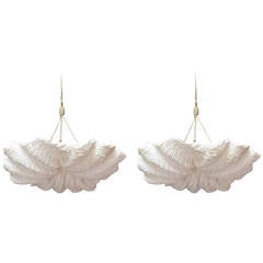 Pair of Plaster Shell Chandeliers