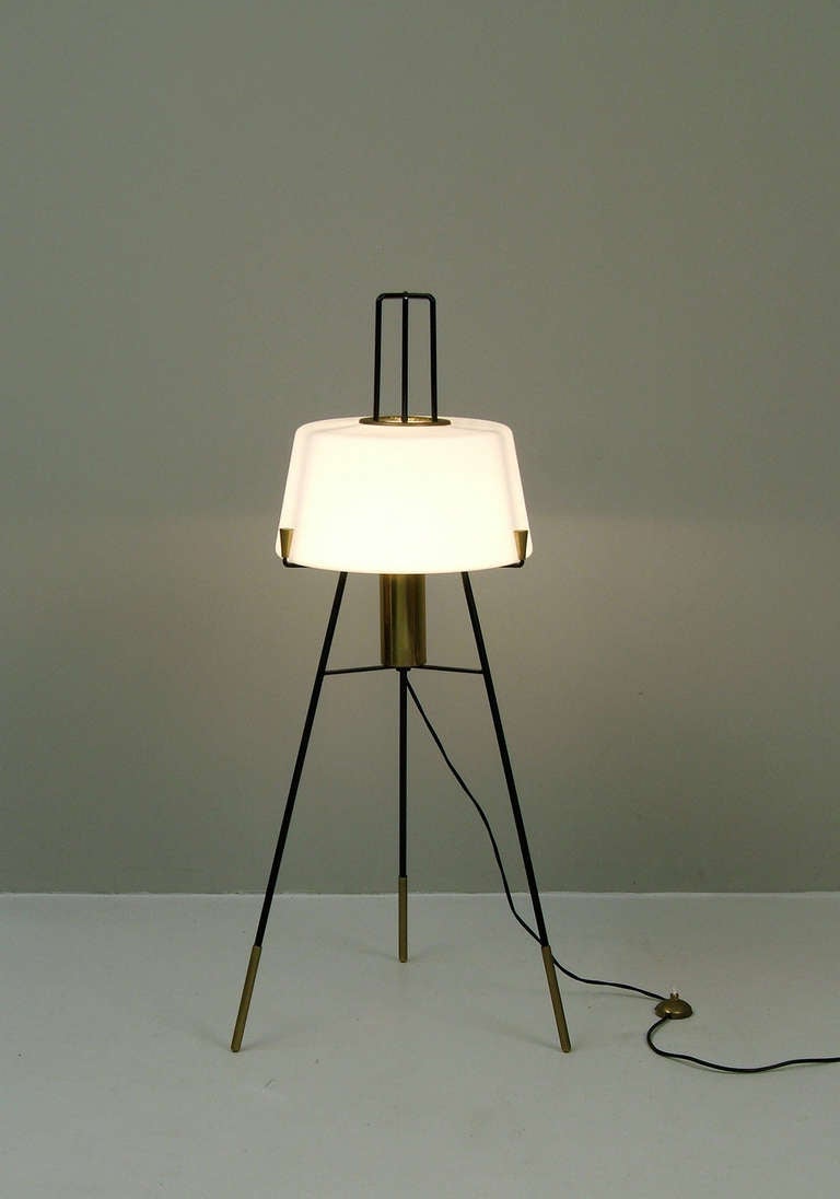 Mid-Century Modern Stilnovo Floor Lamp