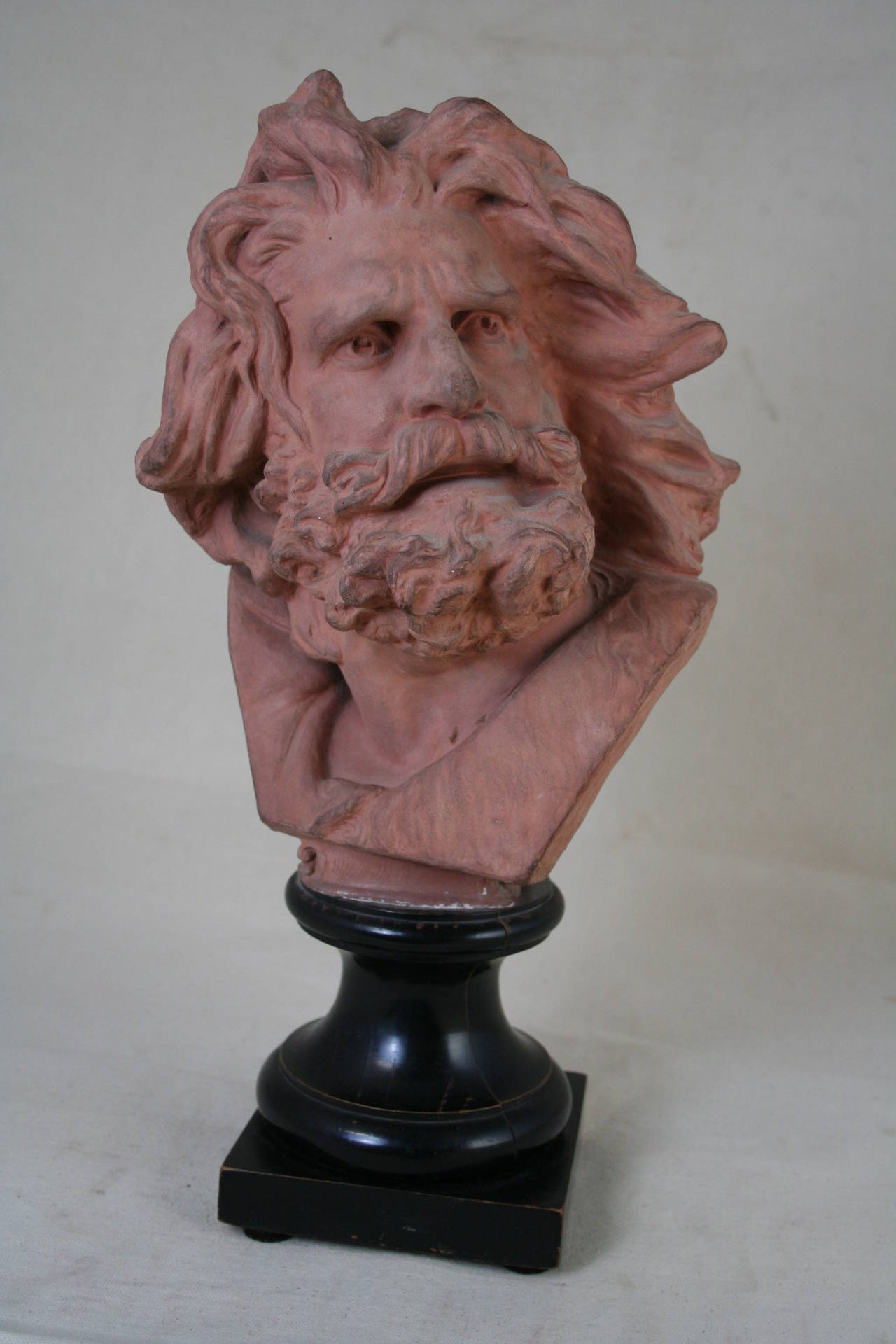 This 19th century terra cotta bust is mounted on an ebonized wooden base. The 