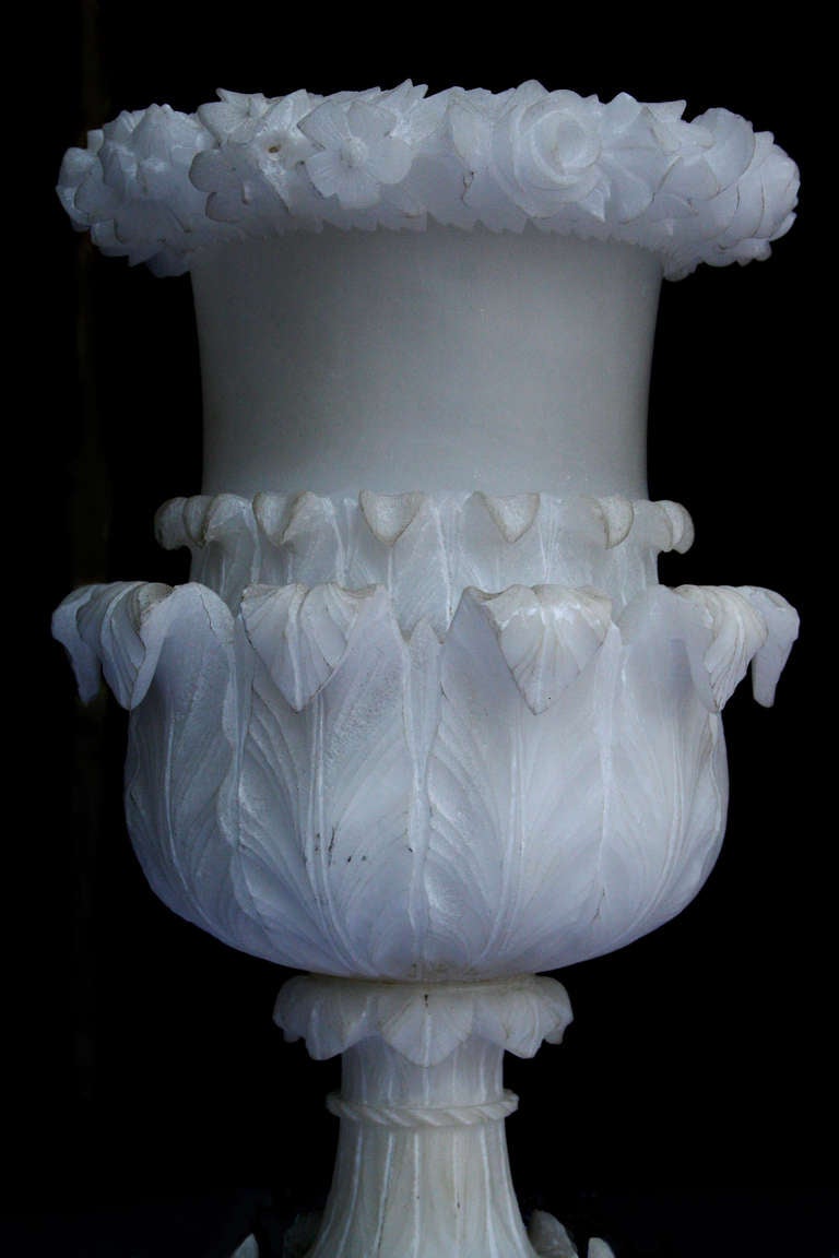 Pair of 19th Century Carrera Marble Urns in Acanthus Motif 2