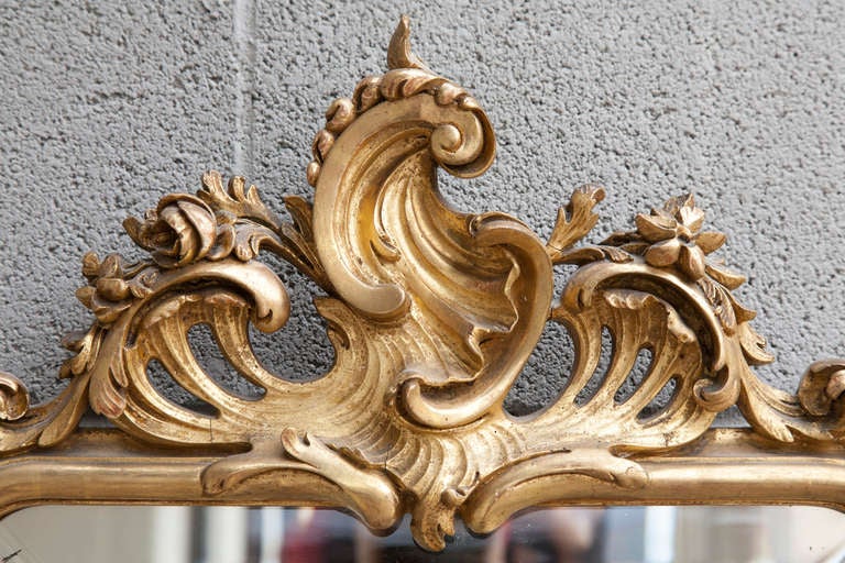 Small Scale Carved Gilt Wood Mirror