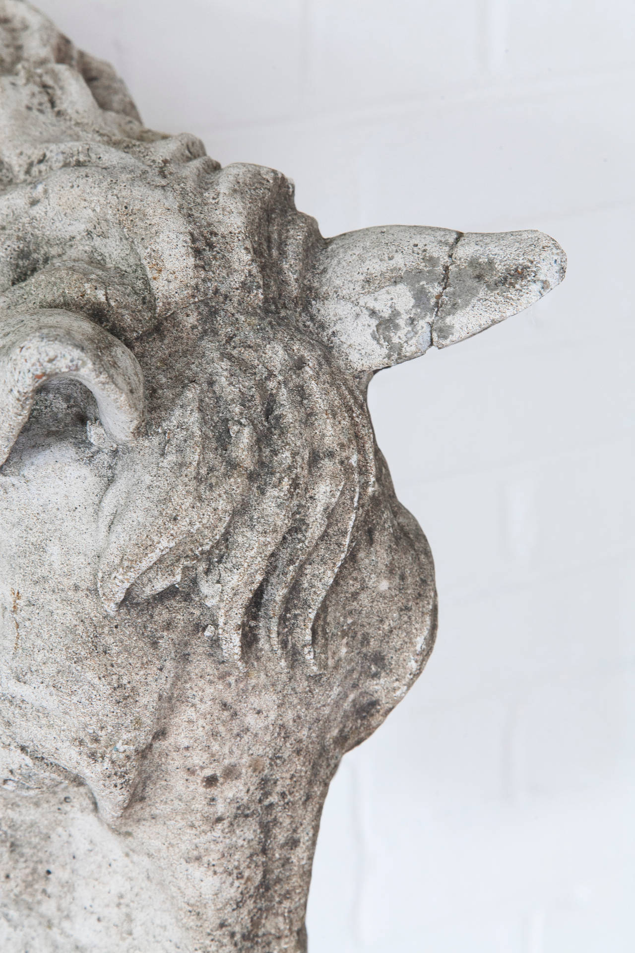 Mid-Century French Limestone Horse Head Sculpture from a Private Stable 4