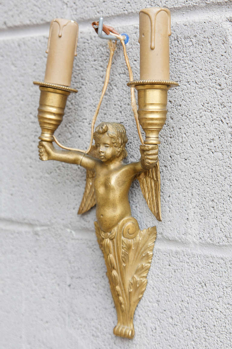 Pair of Gilt Bronze Sconces with Winged Cherubs 1