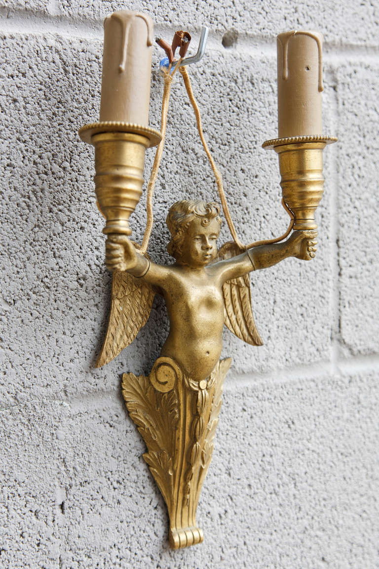 Pair of Gilt Bronze Sconces with Winged Cherubs 2
